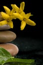 Balancing zen stones on black with yellow flower Royalty Free Stock Photo