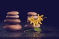 Balancing zen stones on black with yellow flower Royalty Free Stock Photo