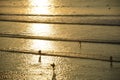 Balangan beach. Sunset. Surfers Royalty Free Stock Photo