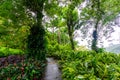 Balata Garden, Martinique - Paradise botanic garden on tropical caribbean island with suspension bridges - France Royalty Free Stock Photo