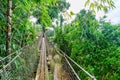 Balata Garden, Martinique - Paradise botanic garden on tropical caribbean island with suspension bridges - France Royalty Free Stock Photo