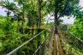 Balata Garden, Martinique - Paradise botanic garden on tropical caribbean island with suspension bridges - France Royalty Free Stock Photo