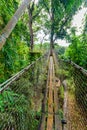 Balata Garden, Martinique - Paradise botanic garden on tropical caribbean island with suspension bridges - France Royalty Free Stock Photo