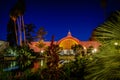 Balboa park botanical garden and lily pond at night wide Royalty Free Stock Photo