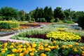 Balchik Botanical Garden Royalty Free Stock Photo