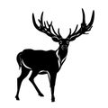 Balck silhouette of deer Royalty Free Stock Photo