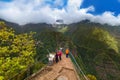 Balcoes levada viewpoint - Madeira Portugal