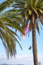 Paraglider by the Balcon de Europa in the Spanish resort of Nerja on the Costa del Sol Royalty Free Stock Photo