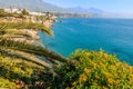 View of the sea with green plants in the foreground in Nerja