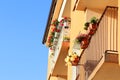 Balconies of beautiful building decorated with blooming potted plants on sunny day, low angle view Royalty Free Stock Photo