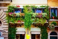 Balconies full of of flowers decorate houses and streets in Rome, Italy