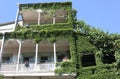 Balconies of Tbilisi covered with convolvulus