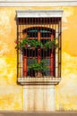 Balcony adorned with geranium flowers in a colonial house in La Antigua Guatemala Royalty Free Stock Photo