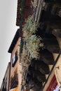 Segovia, Spain. Balcony decorated with flowers.