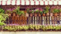 Balcony decorated with beÃÂ°utiful flowers Royalty Free Stock Photo