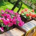 Balcony flower boxes filled with flowers