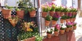 Balcony with flower pots