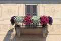 Balcony with flower pots Royalty Free Stock Photo