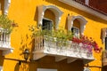 Balcony with flowers Royalty Free Stock Photo