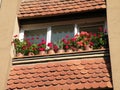 Balcony and flowers