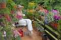 Balcony with flowers Royalty Free Stock Photo