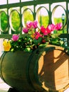 Balcony flowers Royalty Free Stock Photo