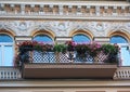 Balcony with flowers and facade of the building in classical styleBalcony with flowers and facade of the building