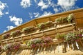 Balcony flowers