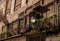 Balcony full of flowers in Palermo Royalty Free Stock Photo