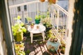 Balcony garden with table and hanging pots Royalty Free Stock Photo