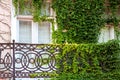 Balcony with iron railings wrought iron fence of a building of ivy overgrown. Royalty Free Stock Photo