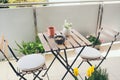 Balcony with a lot of plants. Having healthy breakfast outdoors on a green decorated terrace at home. Beautiful new outdoor Royalty Free Stock Photo