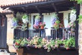 Balcony with many flowers Royalty Free Stock Photo