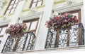 Balcony with neo classic facade and flowers.