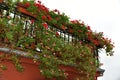 Balcony overflowing with flowers