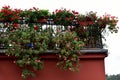 Balcony overflowing with flowers