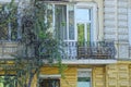 Balcony overgrown with green ornamental vegetation