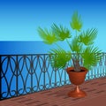 Balcony with a palm tree in a pot