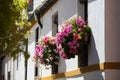 Balcony with planter of geraniums and seasonal flowers. Typical house of southern spain in andalusia Royalty Free Stock Photo