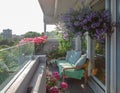 Balcony plants, beautiful different colored flowers, blu sky