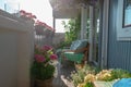 Balcony plants, beautiful different colored flowers, blu sky