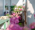 Balcony plants, beautiful different colored flowers, blu sky Royalty Free Stock Photo