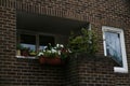 Balcony on a side street in Europe with colorful flowers Royalty Free Stock Photo