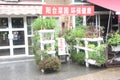 The balcony vegetable garden design