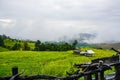 Balcony view cottage in golden rice terrace Royalty Free Stock Photo