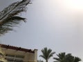 A balcony of a white beautiful modern Islamic Arab building against the backdrop of twigs of green palm trees in a tropical seasid Royalty Free Stock Photo