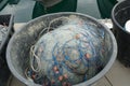 Fishing net with blue ropes and red-brown floats stored in black oval plastic bucket. Royalty Free Stock Photo