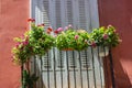 A balcony window with a huge number of mix potted green plants. Fresh flowers decorate exterior of apartment building Royalty Free Stock Photo