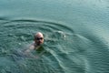 Bald adult man swimming in blue nature wave lake summer vacation background