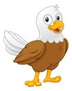 Bald Eagle Bird Cute Cartoon Wildlife Mascot Royalty Free Stock Photo